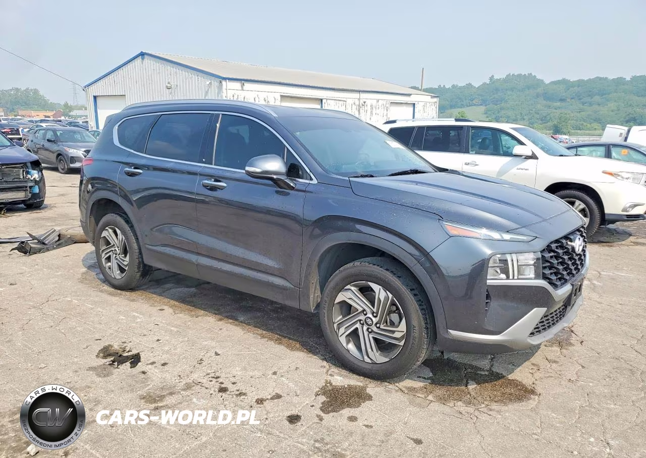 2023 Hyundai Santa Fe Sel VIN:5NMS2DAJ1PH559343 - 4