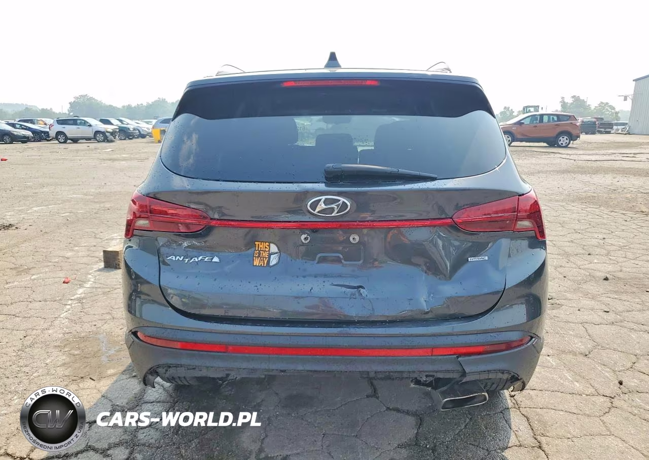 2023 Hyundai Santa Fe Sel VIN:5NMS2DAJ1PH559343 - 6