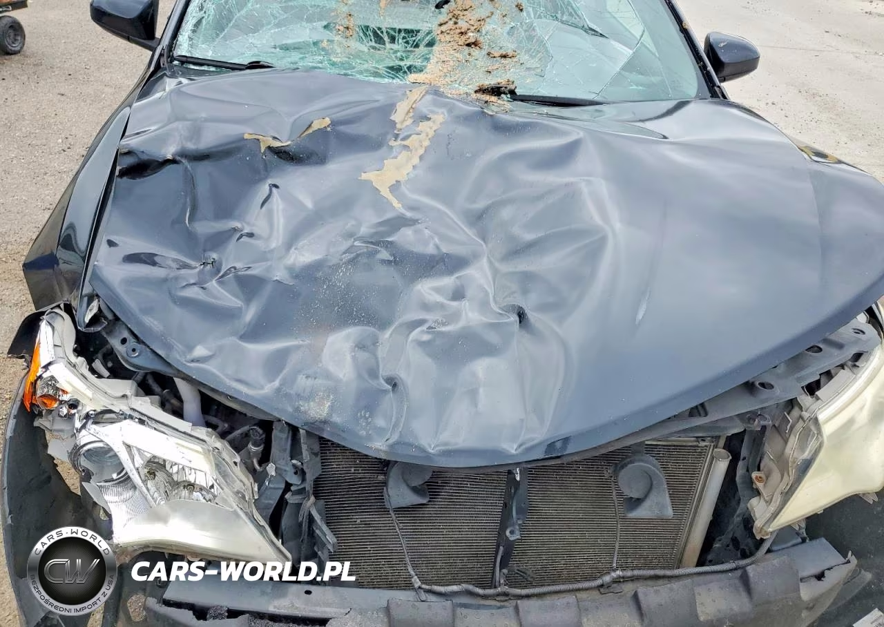 2013 Toyota Camry Xle VIN:4T1BF1FKXDU299738 - 11