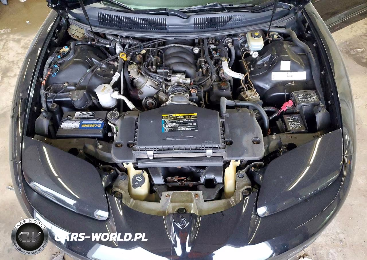 2002 Pontiac Firebird Formula VIN:2G2FV22G022149287 - 11