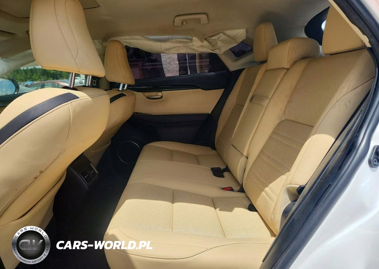 2017 Lexus Nx 200T Base-200T F VIN:JTJYARBZ3H2064370 - 10