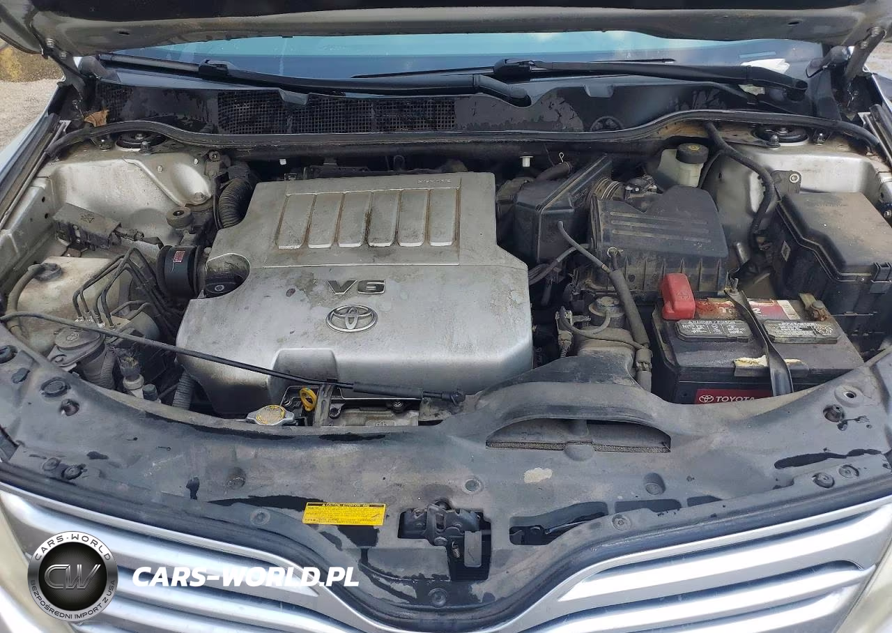 2009 Toyota Venza Fwd V6 VIN:4T3ZK11A69U003914 - 11