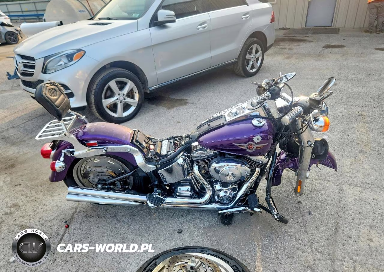 2001 Harley-Davidson Flstf