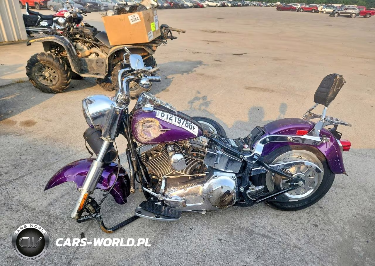 2001 Harley-Davidson Flstf VIN:1HD1BMY191Y011616 - 3