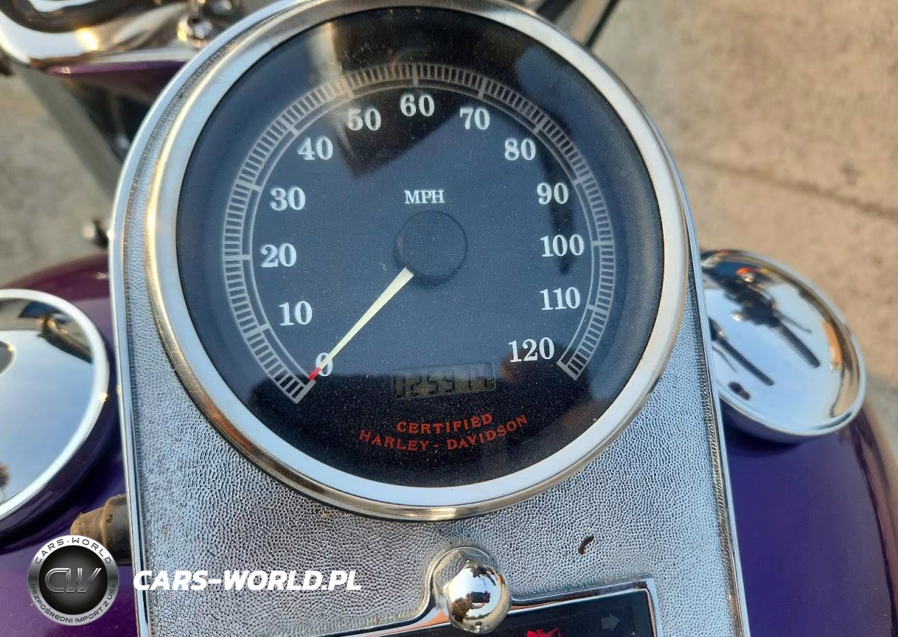 2001 Harley-Davidson Flstf VIN:1HD1BMY191Y011616 - 7