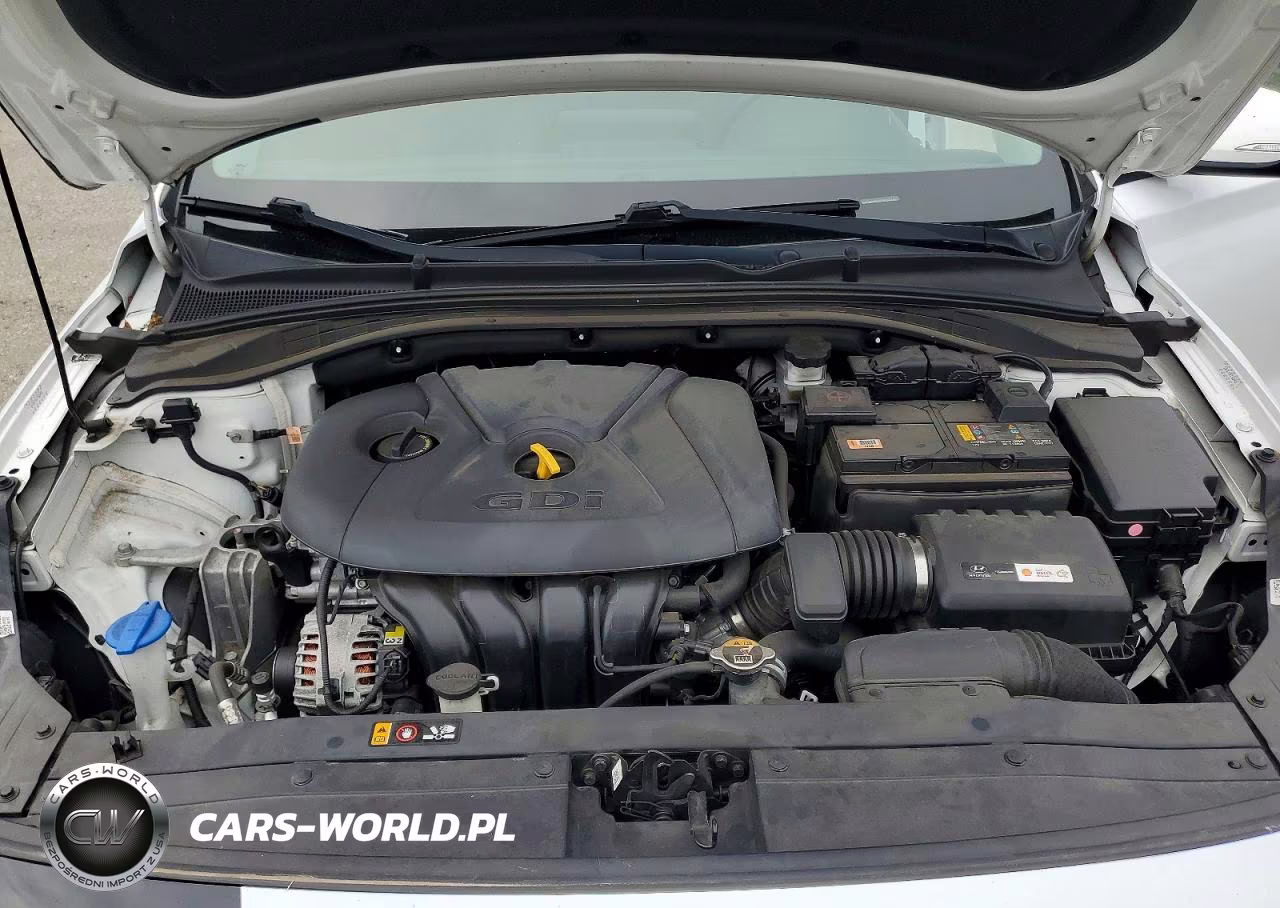 2019 Hyundai Elantra Gt Base VIN:KMHH35LE7KU107245 - 12