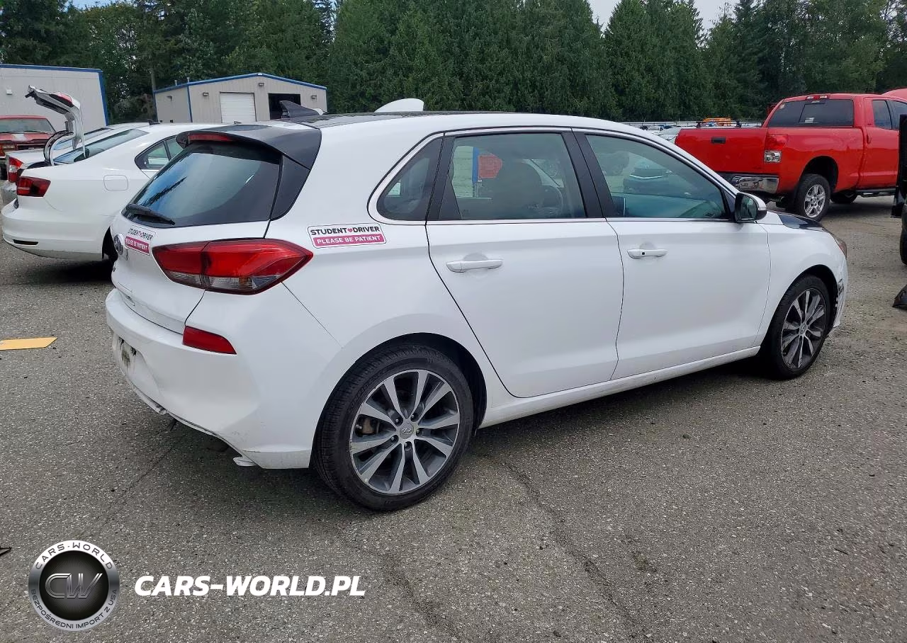 2019 Hyundai Elantra Gt Base VIN:KMHH35LE7KU107245 - 3