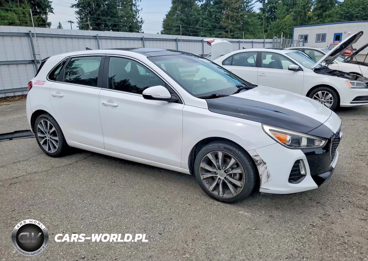 2019 Hyundai Elantra Gt Base VIN:KMHH35LE7KU107245 - 4