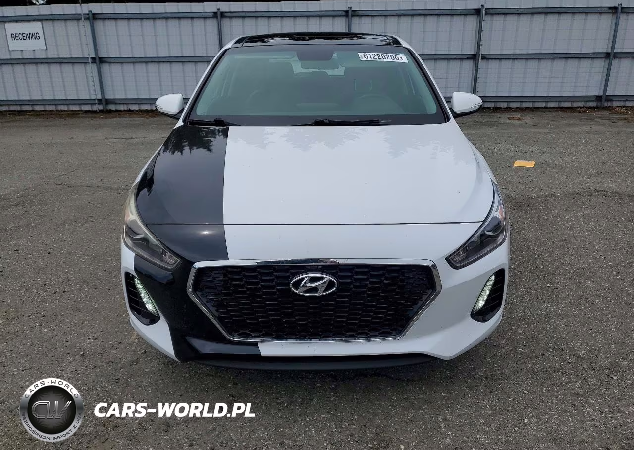 2019 Hyundai Elantra Gt Base VIN:KMHH35LE7KU107245 - 5