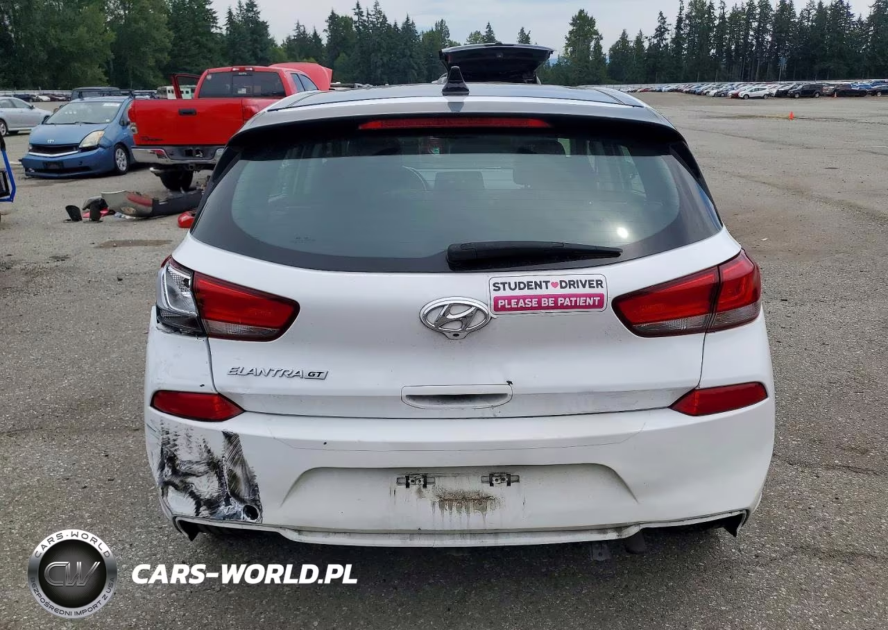 2019 Hyundai Elantra Gt Base VIN:KMHH35LE7KU107245 - 6