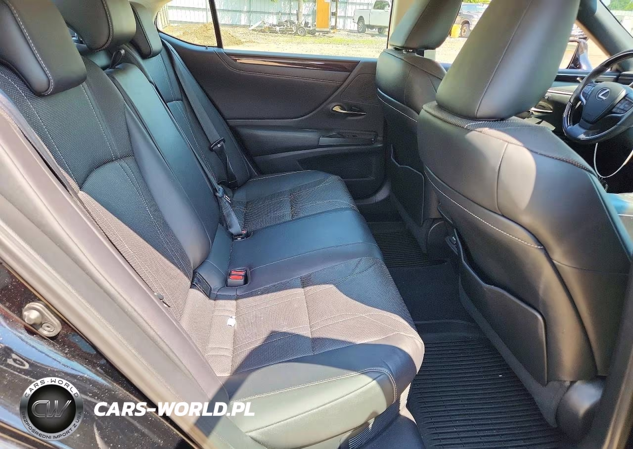 2020 Lexus Es 300H Luxury VIN:58AE21B1XLU005140 - 10