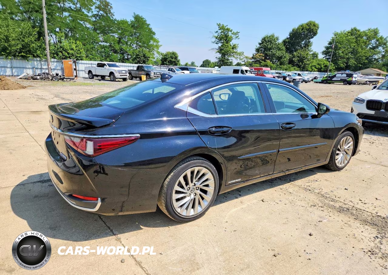 2020 Lexus Es 300H Luxury VIN:58AE21B1XLU005140 - 3