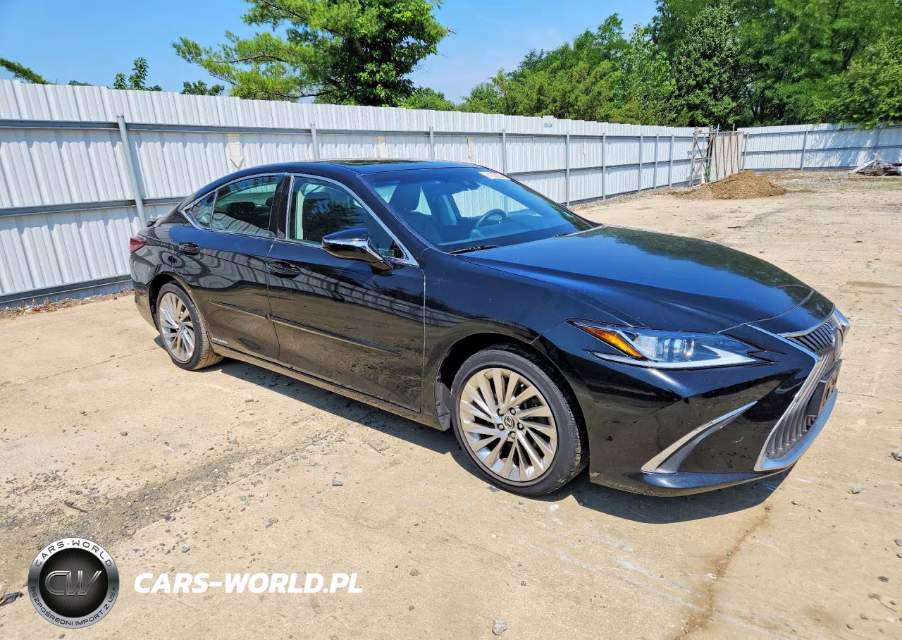 2020 Lexus Es 300H Luxury VIN:58AE21B1XLU005140 - 4