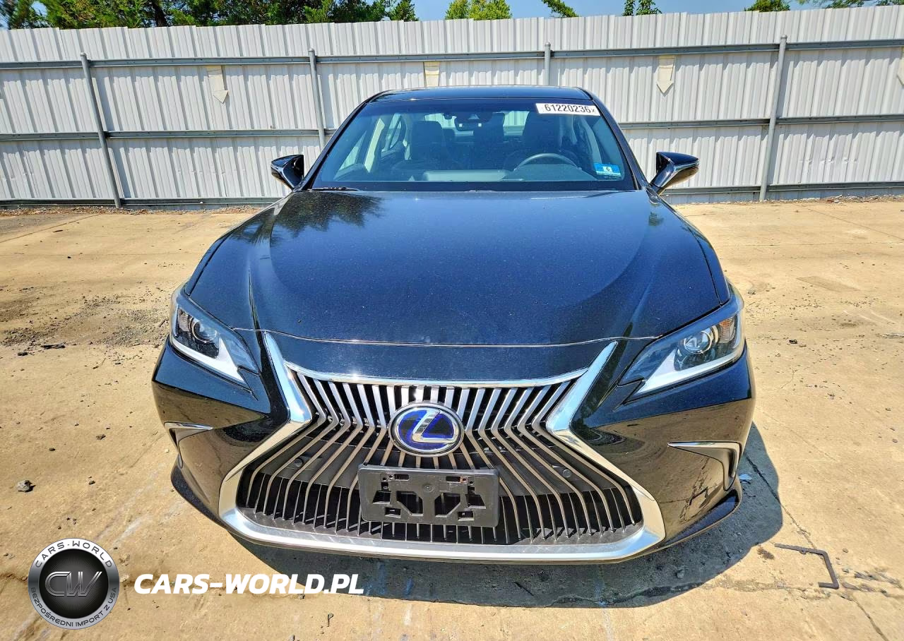 2020 Lexus Es 300H Luxury VIN:58AE21B1XLU005140 - 5