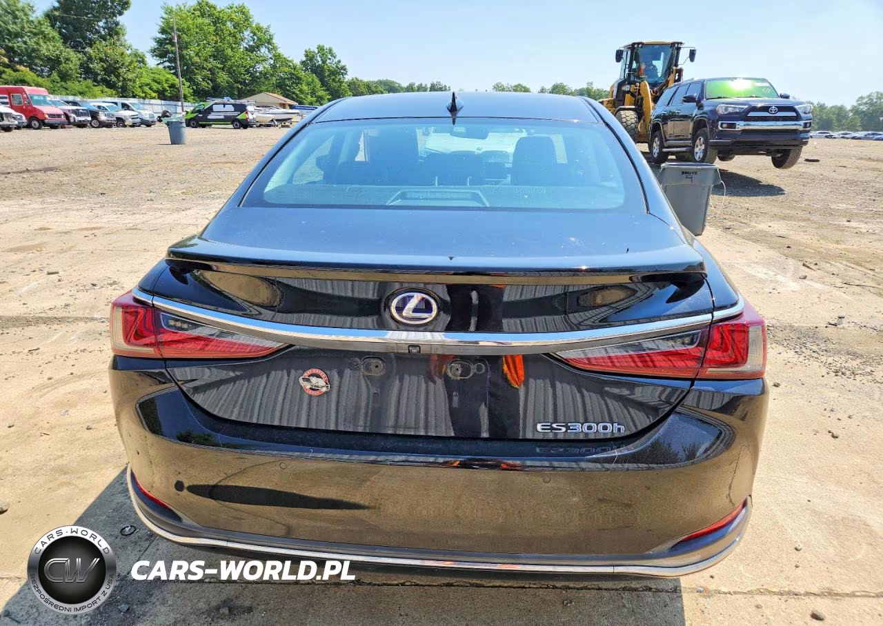 2020 Lexus Es 300H Luxury VIN:58AE21B1XLU005140 - 6