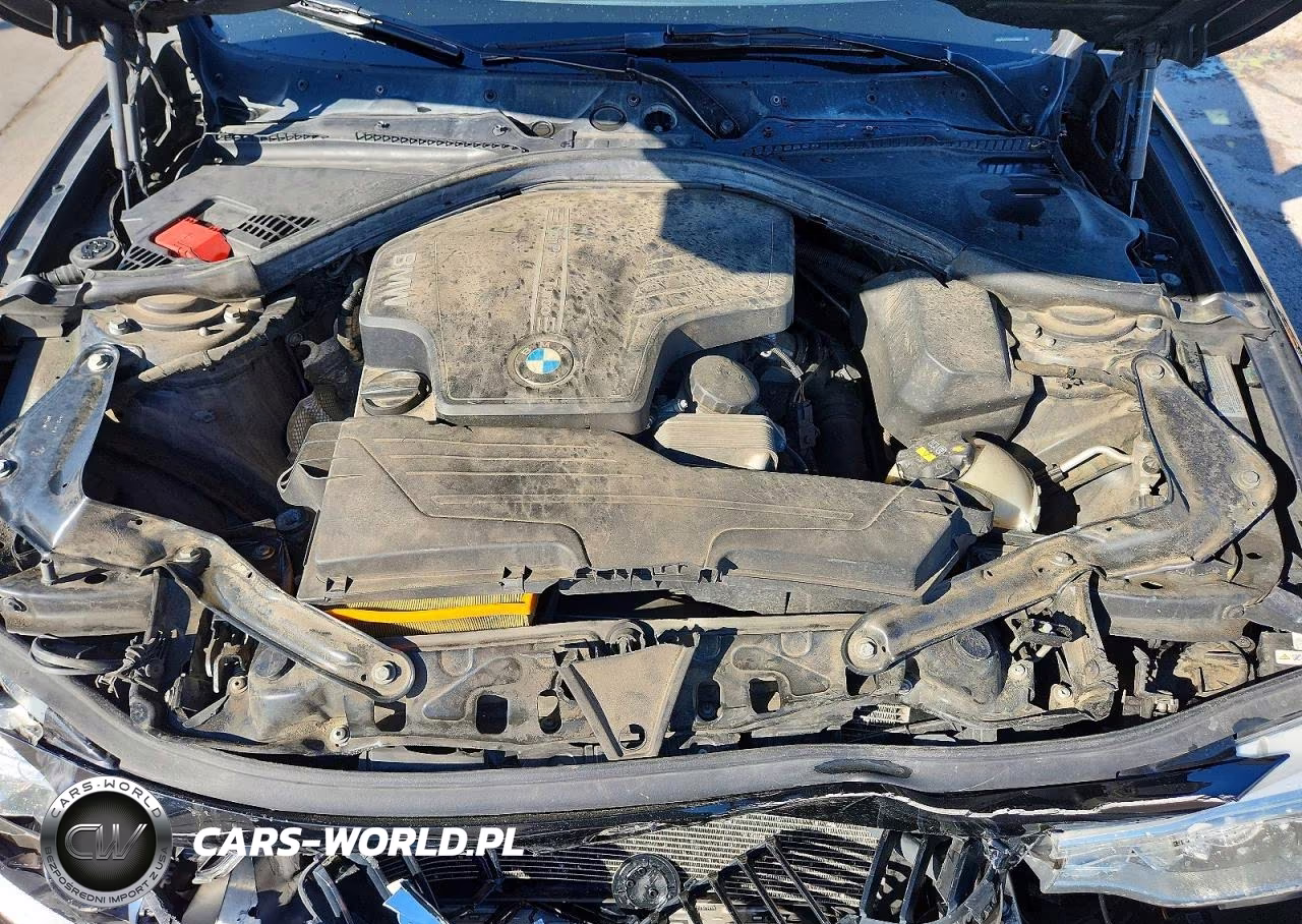 2015 BMW 428 Xi VIN:WBA3V9C57FP799007 - 11