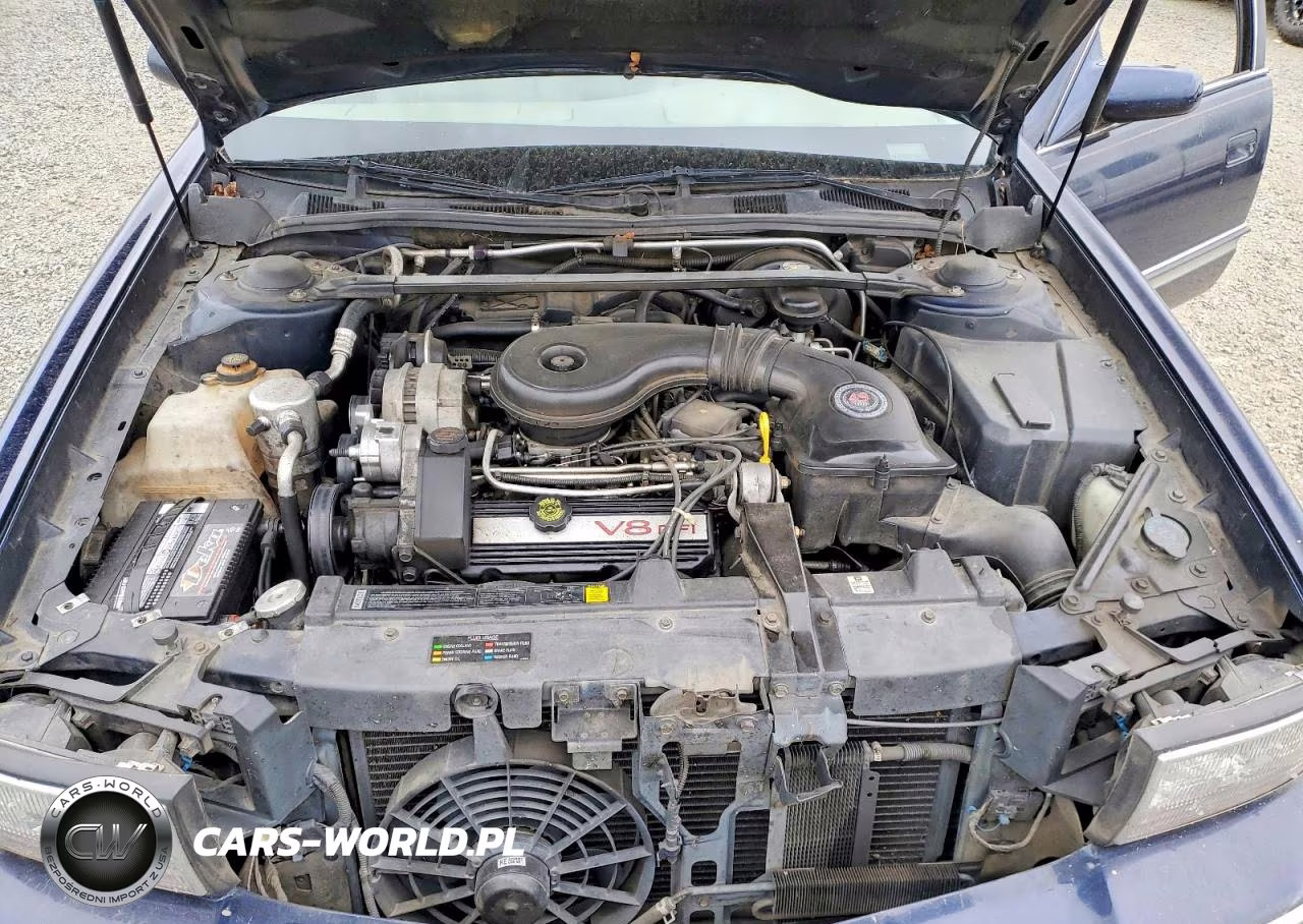 1995 Cadillac Deville VIN:1G6KD52BXSU271638 - 11