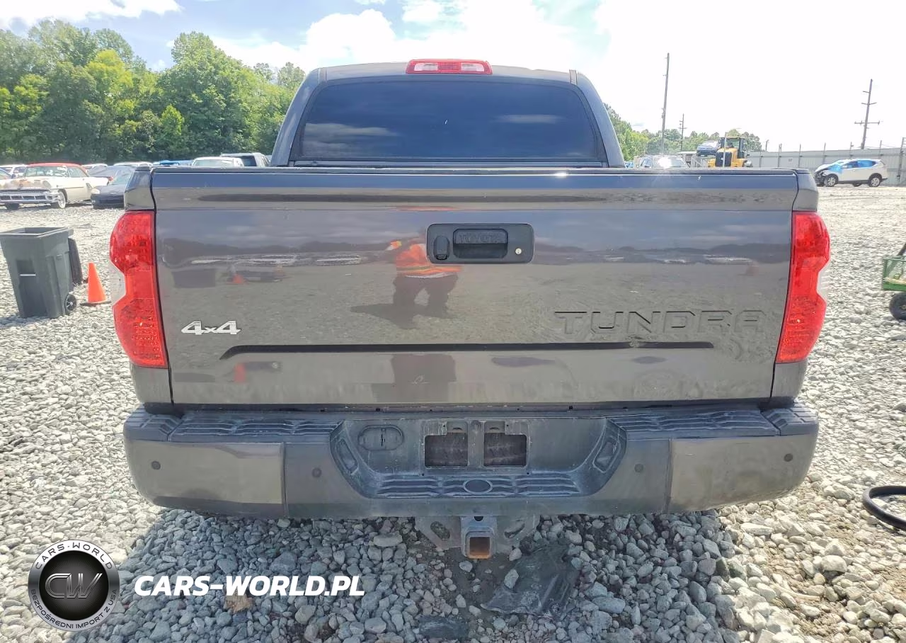 2018 Toyota Tundra Crewmax Limited VIN:5TFHW5F13JX701686 - 6
