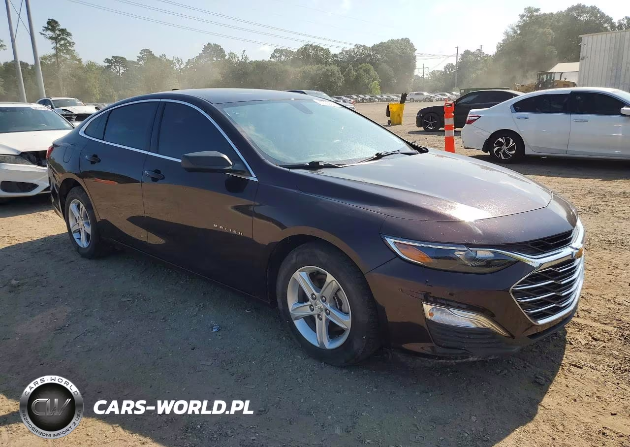 2020 Chevrolet Malibu Ls VIN:1G1ZB5ST1LF040510 - 4