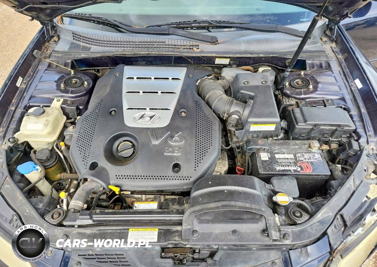 2007 Hyundai Sonata Se VIN:5NPEU46FX7H242305 - 11