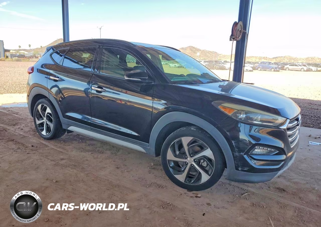 2018 Hyundai Tucson Limited VIN:KM8J33A25JU612004 - 4