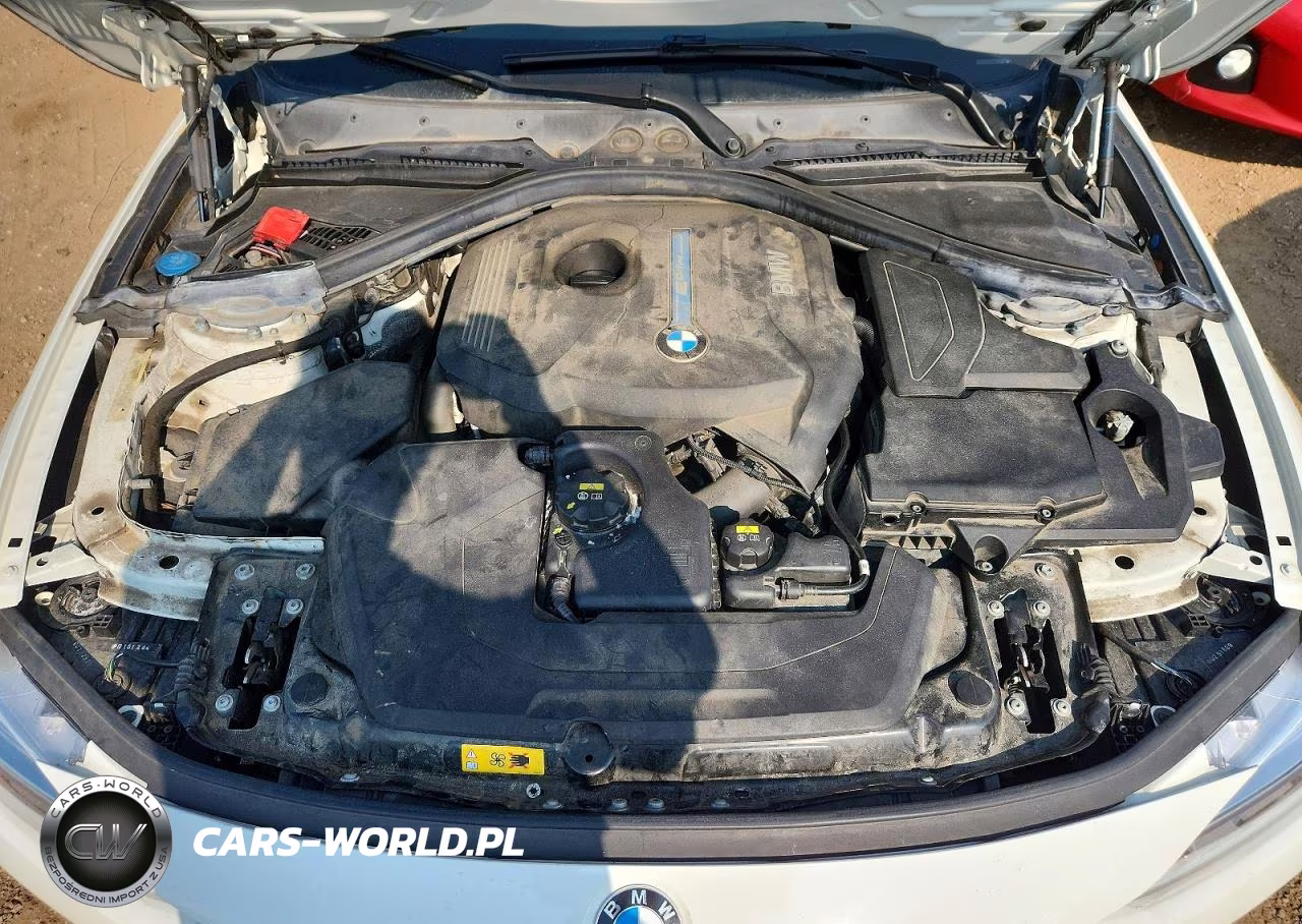 2017 BMW 3 VIN:WBA8E1C31HA029302 - 11