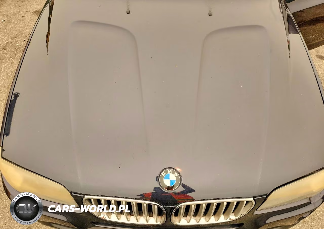 2007 BMW X3 3.0Si VIN:WBXPC93477WF17835 - 12