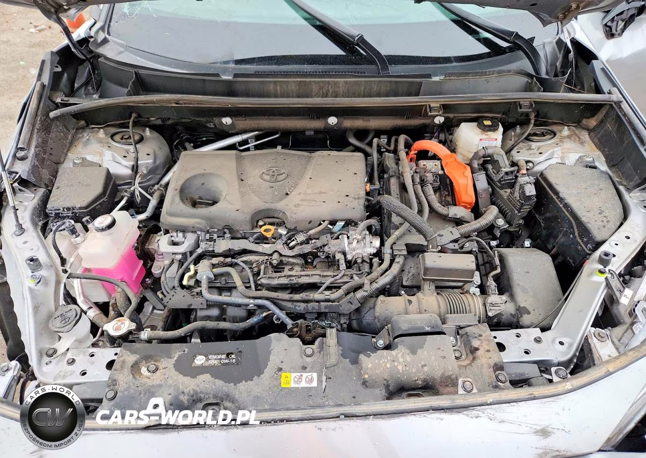 2024 Toyota Rav4 Se VIN:2T3T6RFV7RW065701 - 12