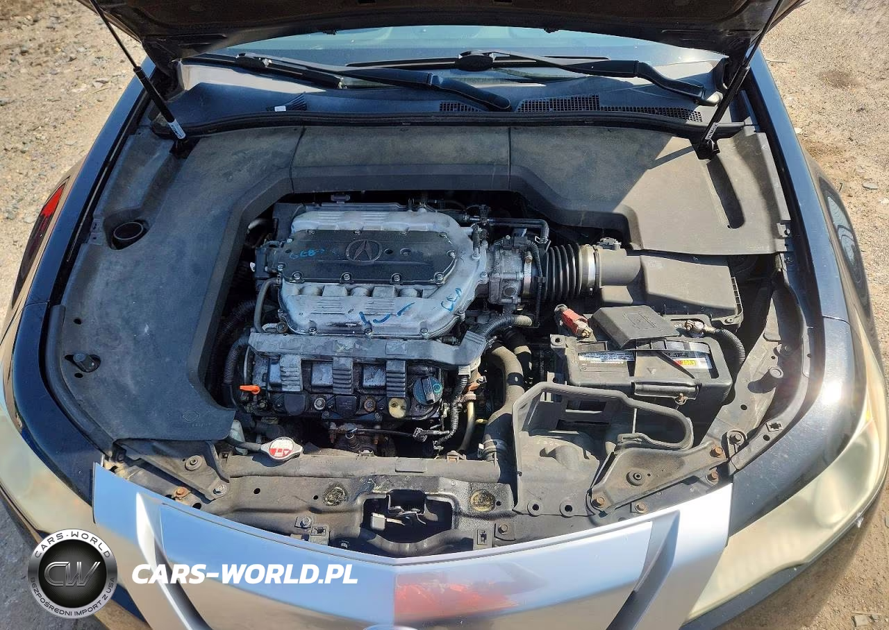 2010 Acura Tl VIN:19UUA9F59AA008634 - 11