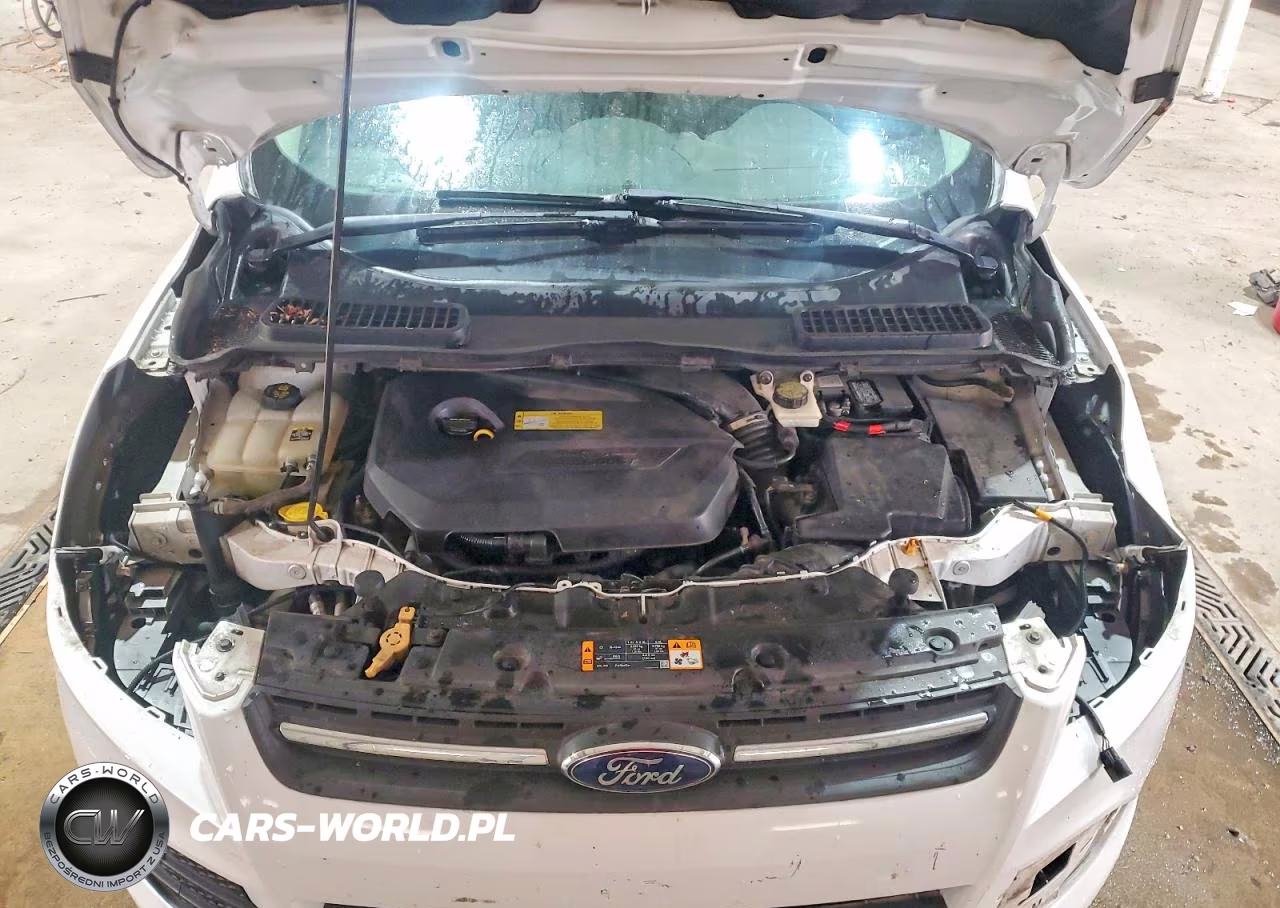 2013 Ford Escape Se VIN:1FMCU9GX2DUA98225 - 12