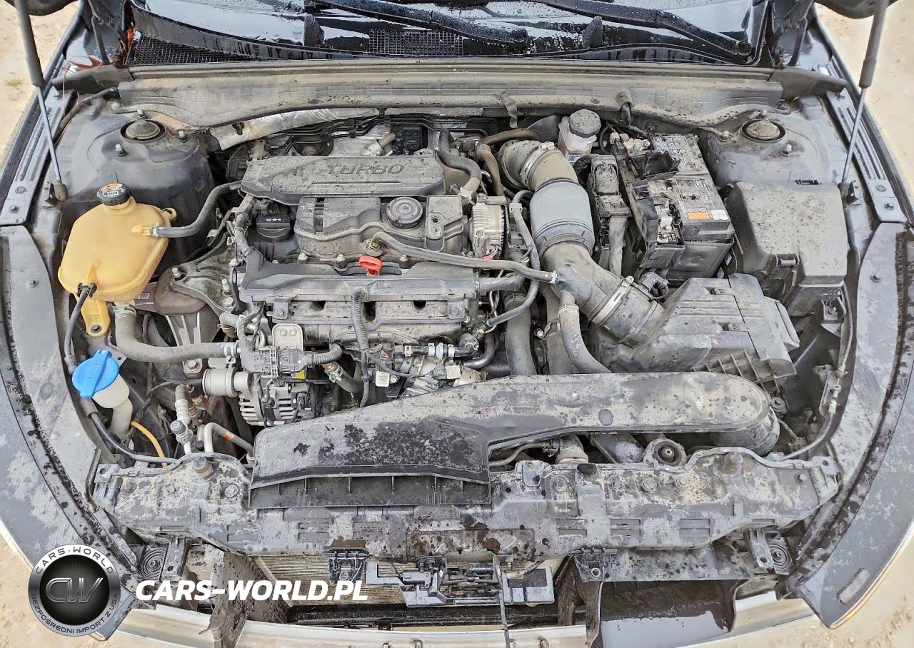 2023 Kia K5 Lxs VIN:5XXG14J23PG197533 - 11