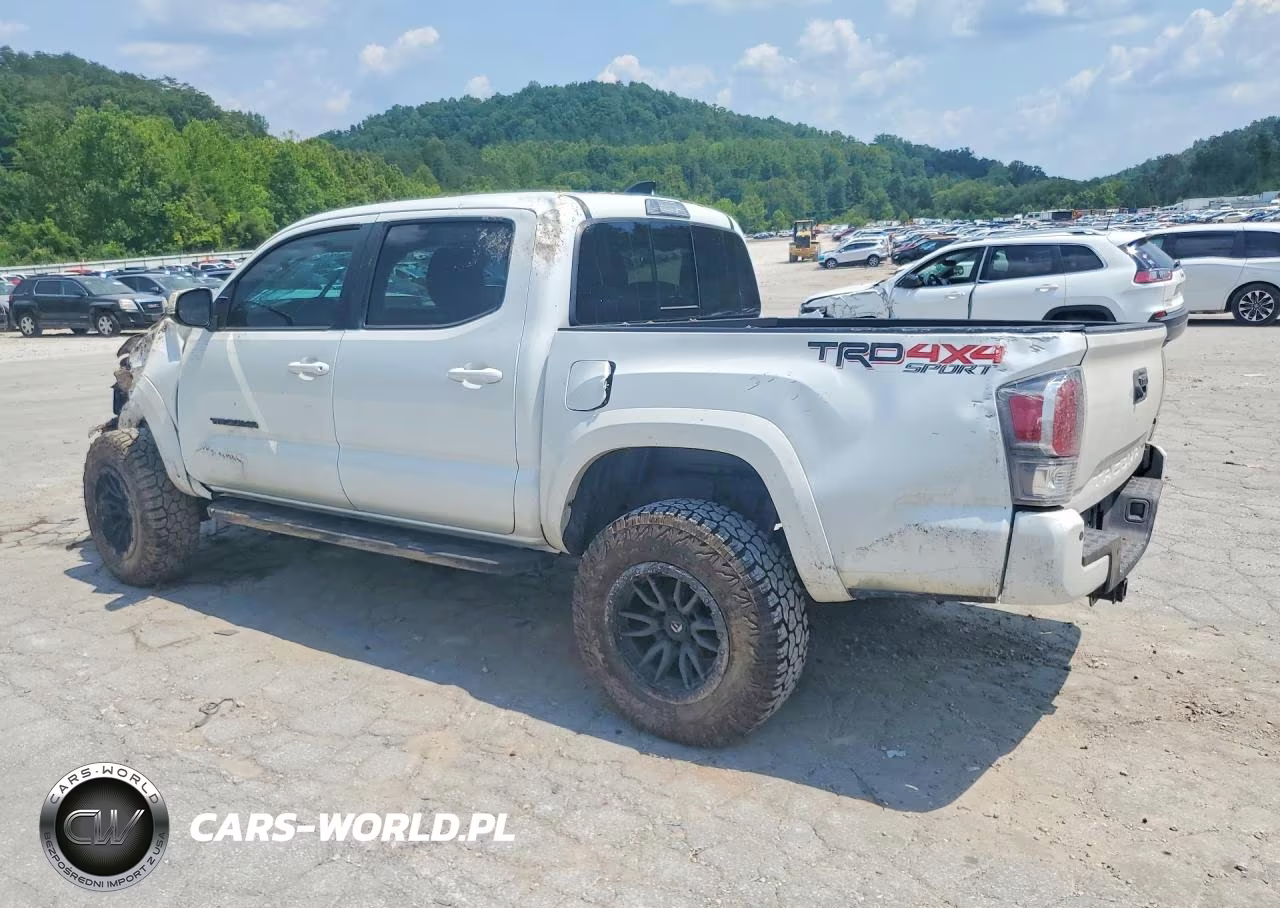 2023 Toyota Tacoma Trd Sport VIN:3TYCZ5AN5PT179724 - 2