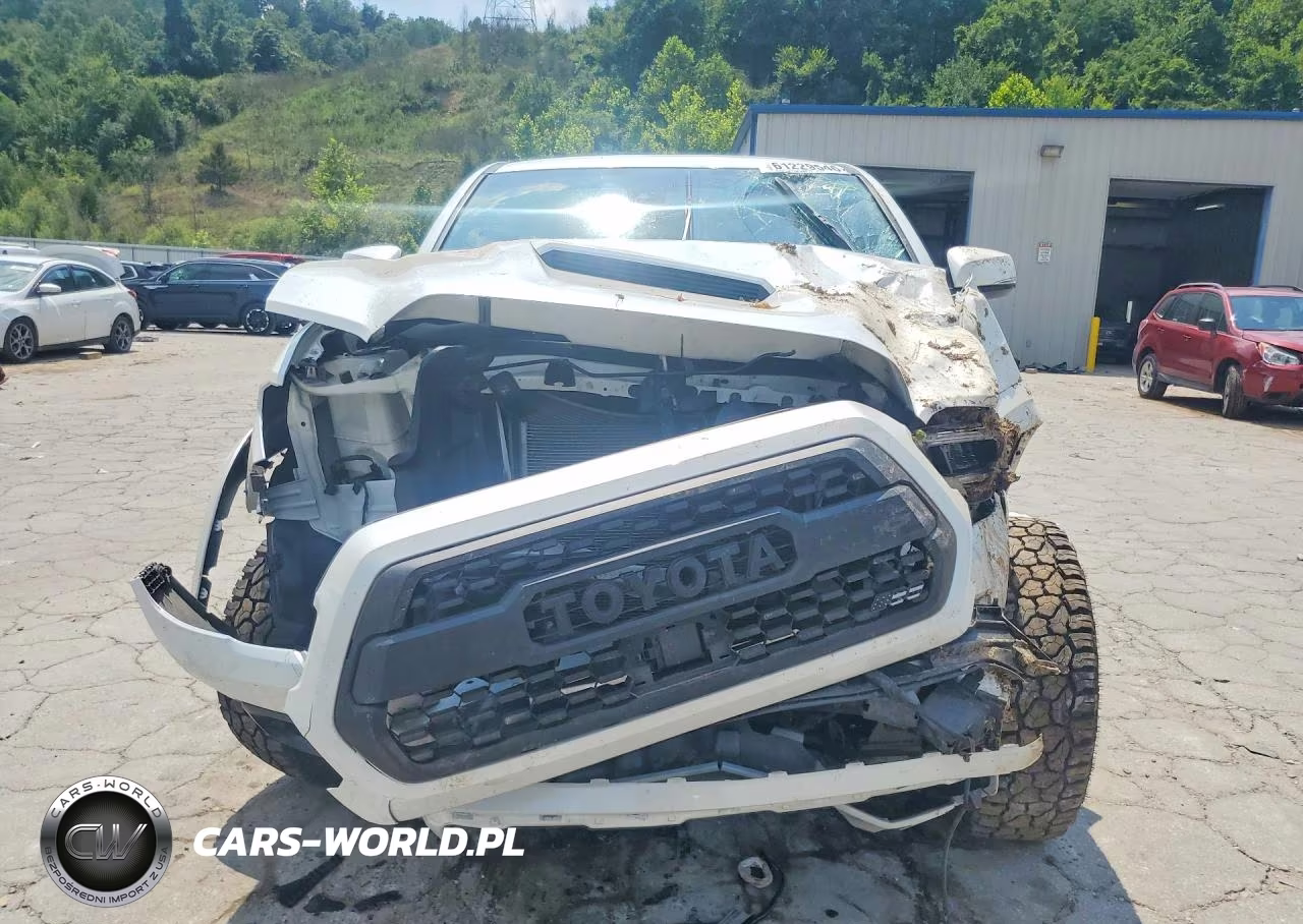 2023 Toyota Tacoma Trd Sport VIN:3TYCZ5AN5PT179724 - 5