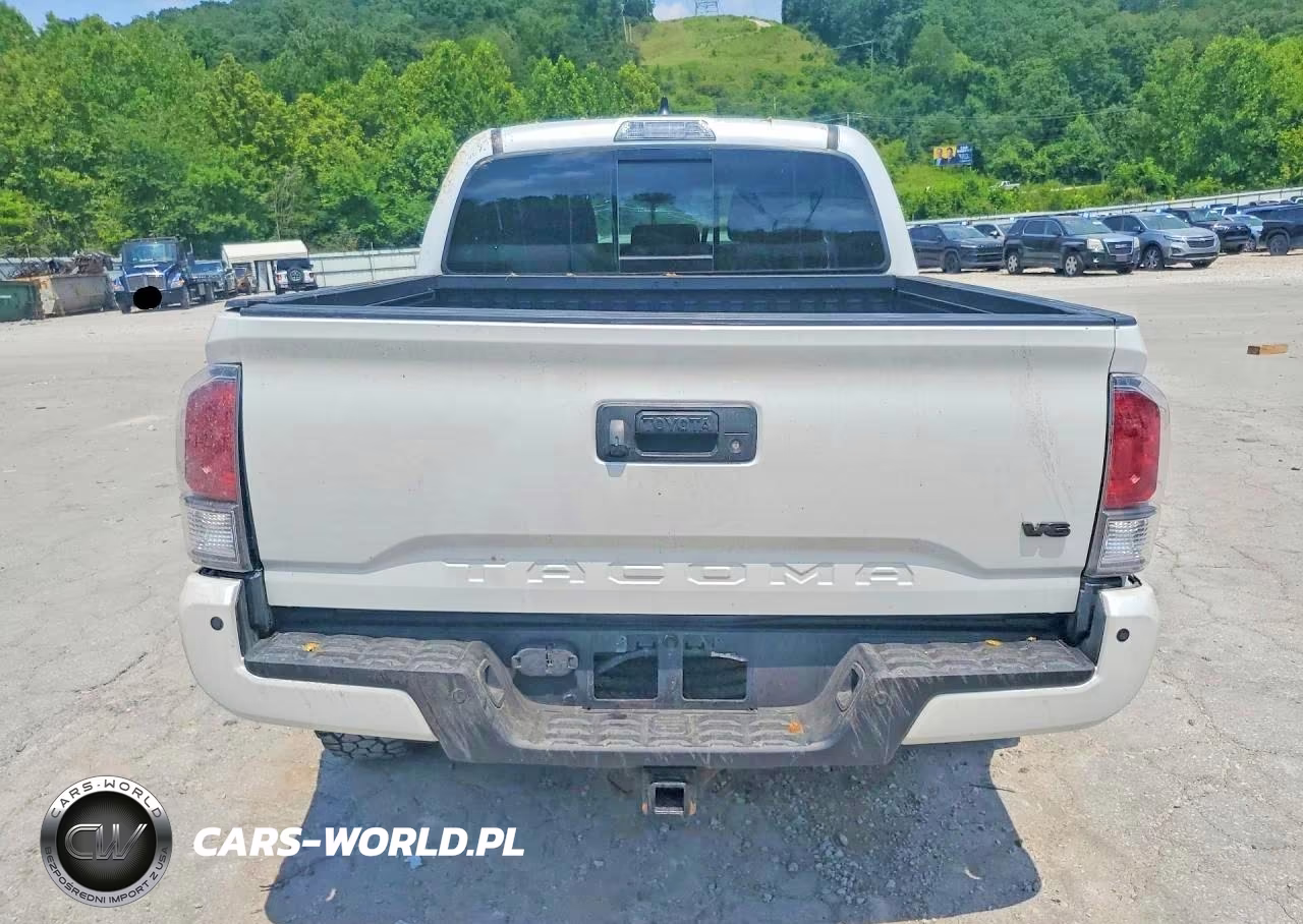 2023 Toyota Tacoma Trd Sport VIN:3TYCZ5AN5PT179724 - 6