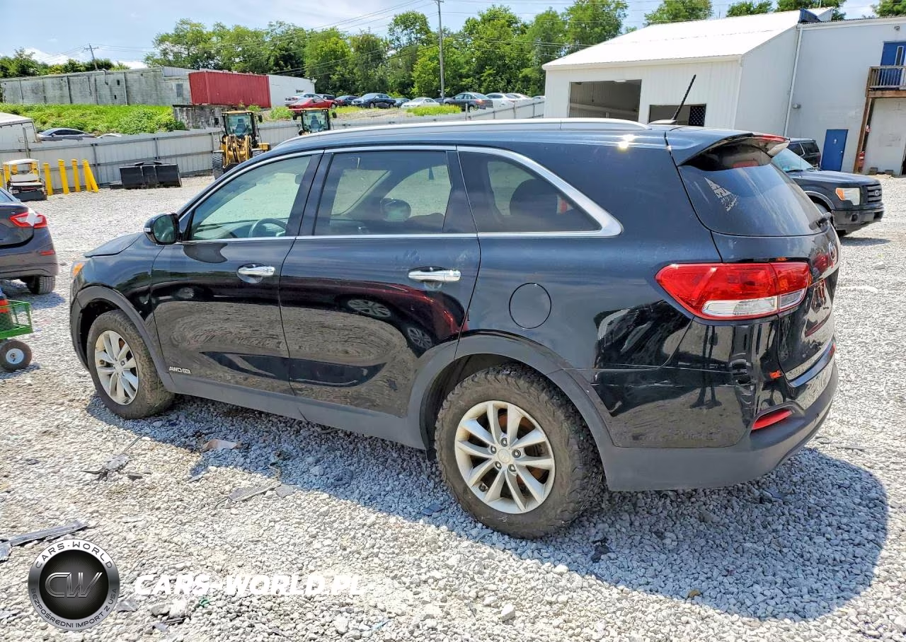 2017 Kia Sorento Lx VIN:5XYPGDA57HG335256 - 2