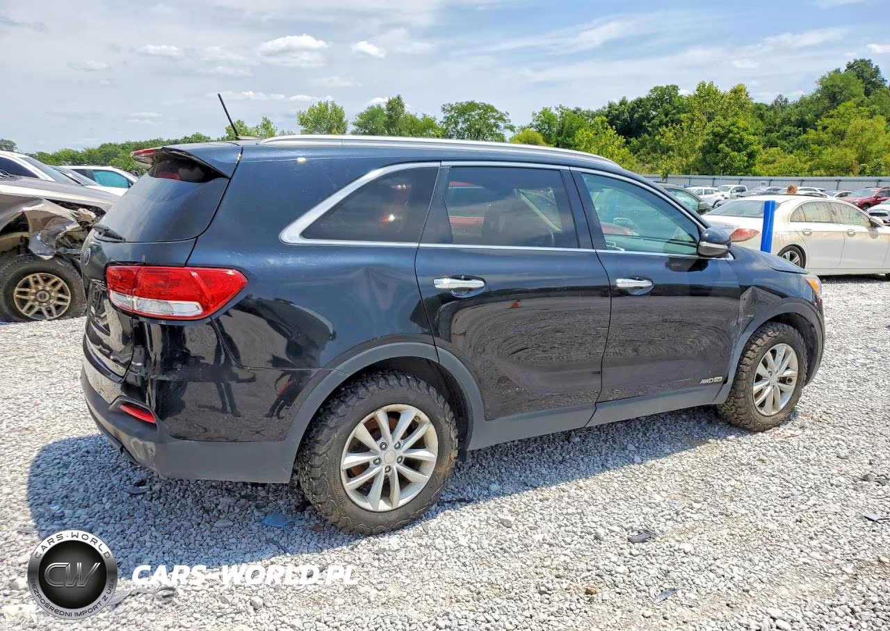 2017 Kia Sorento Lx VIN:5XYPGDA57HG335256 - 3