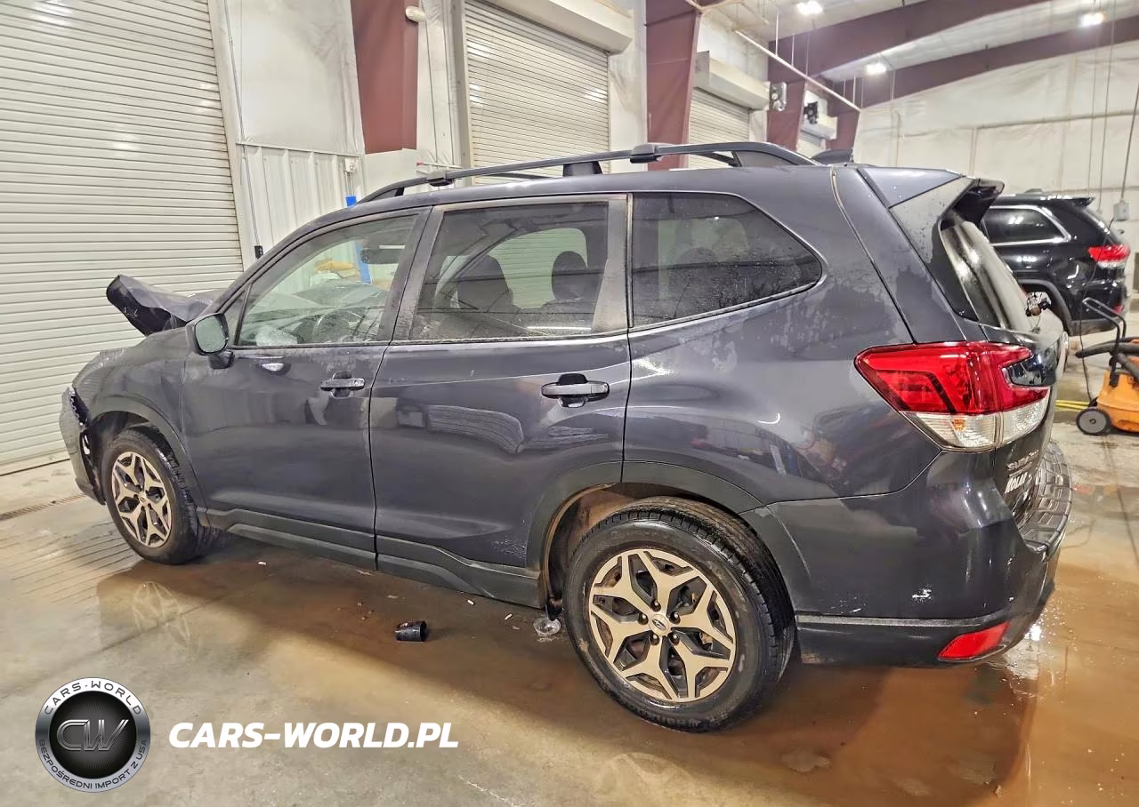 2019 Subaru Forester Premium VIN:JF2SKAGC9KH542812 - 2