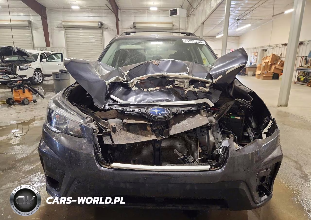 2019 Subaru Forester Premium VIN:JF2SKAGC9KH542812 - 5
