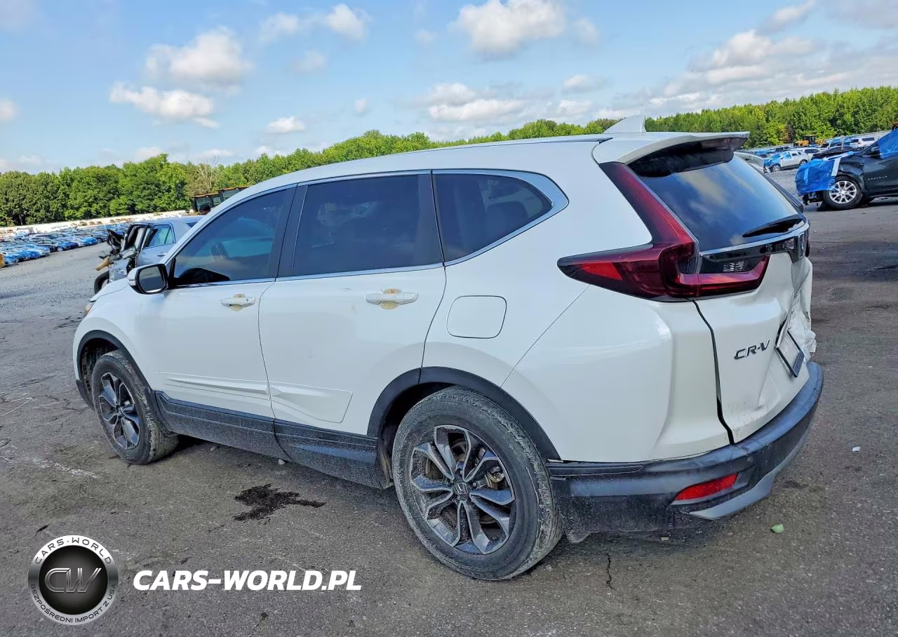 2022 Honda Cr-V Ex VIN:7FARW2H50NE018688 - 2
