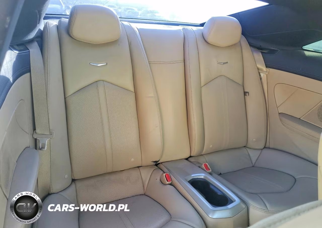 2013 Cadillac Cts Premium Collection VIN:1G6DP1E31D0179048 - 10