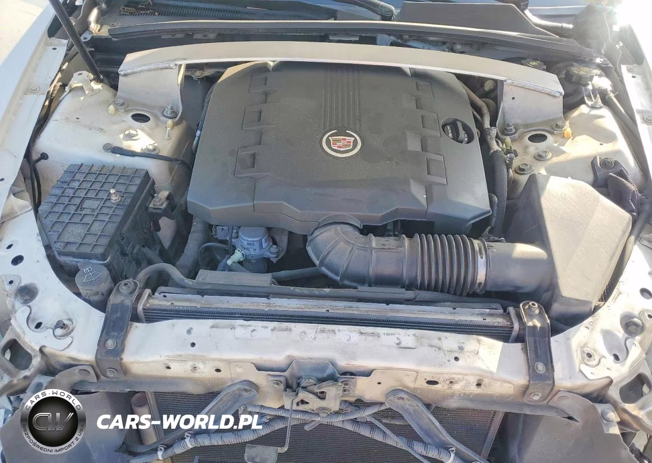 2013 Cadillac Cts Premium Collection VIN:1G6DP1E31D0179048 - 11