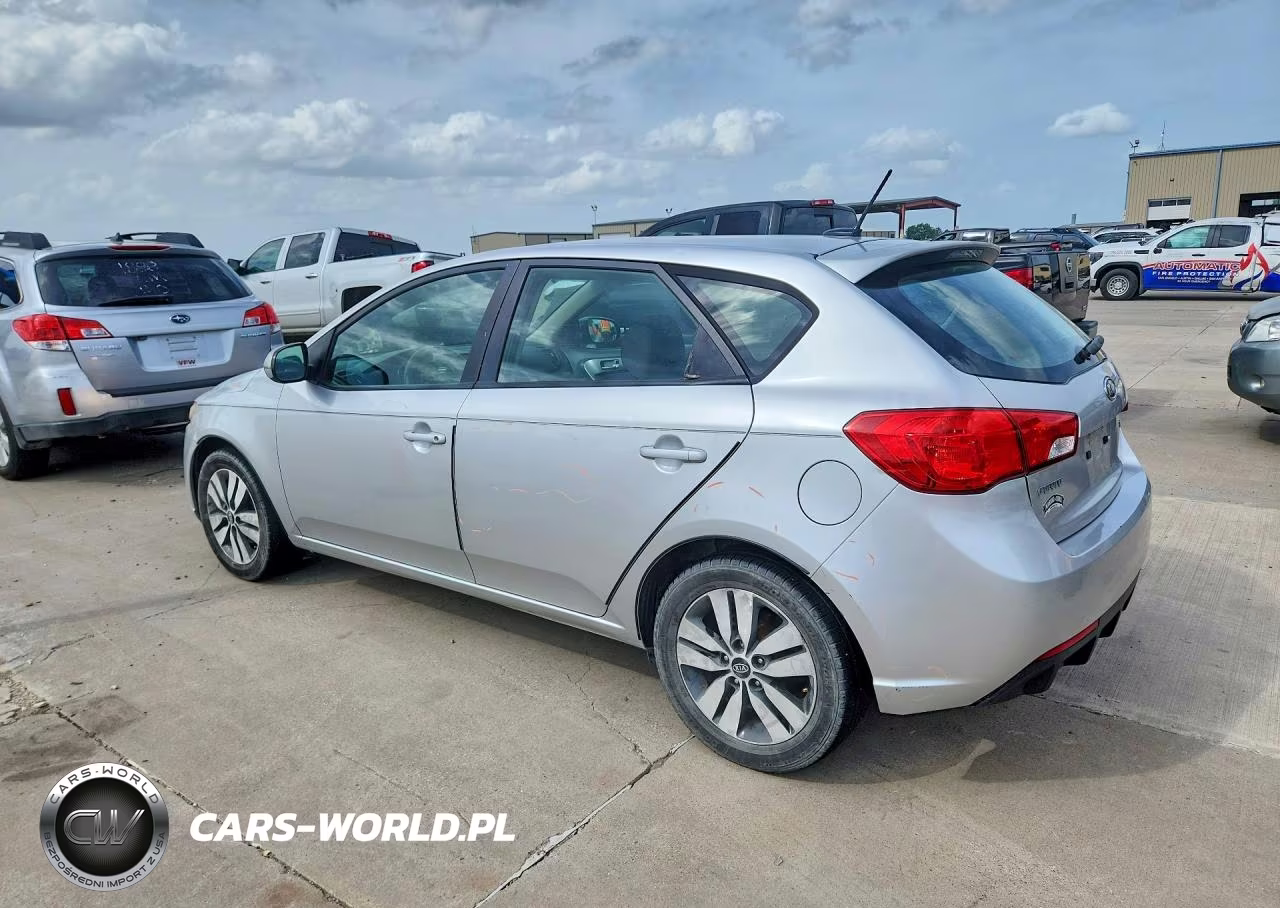 2013 Kia Forte Ex VIN:KNAFU5A25D5655143 - 2