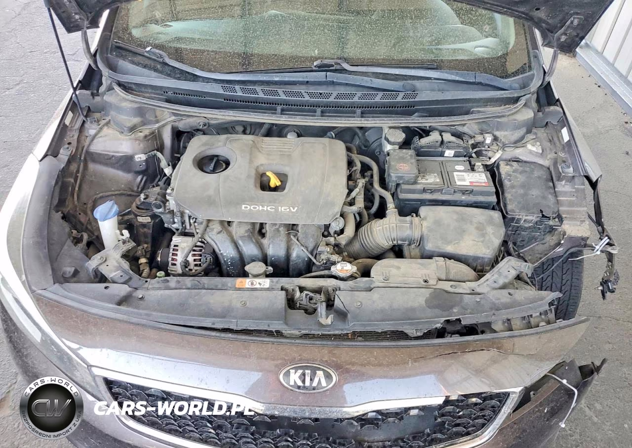 2017 Kia Forte Lx VIN:3KPFL4A75HE132923 - 11