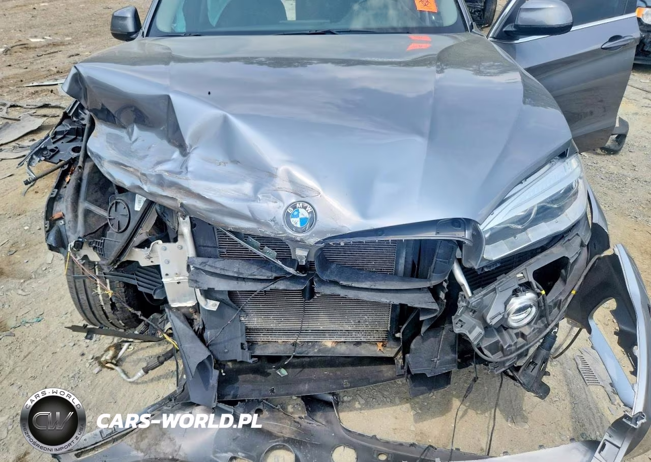 2015 BMW X5 xDrive50I VIN:5UXKR6C50F0J73825 - 12