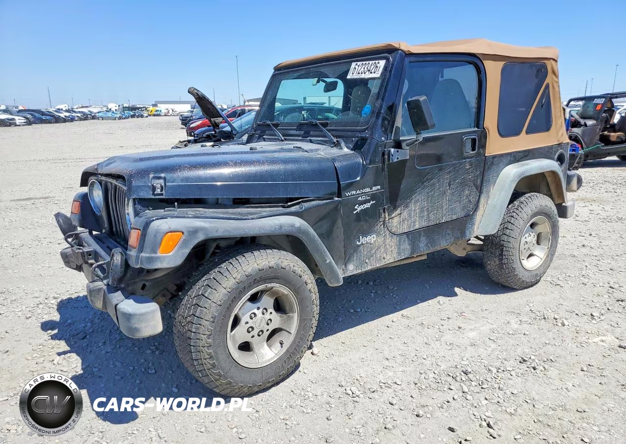 1999 Jeep Wrangler Se
