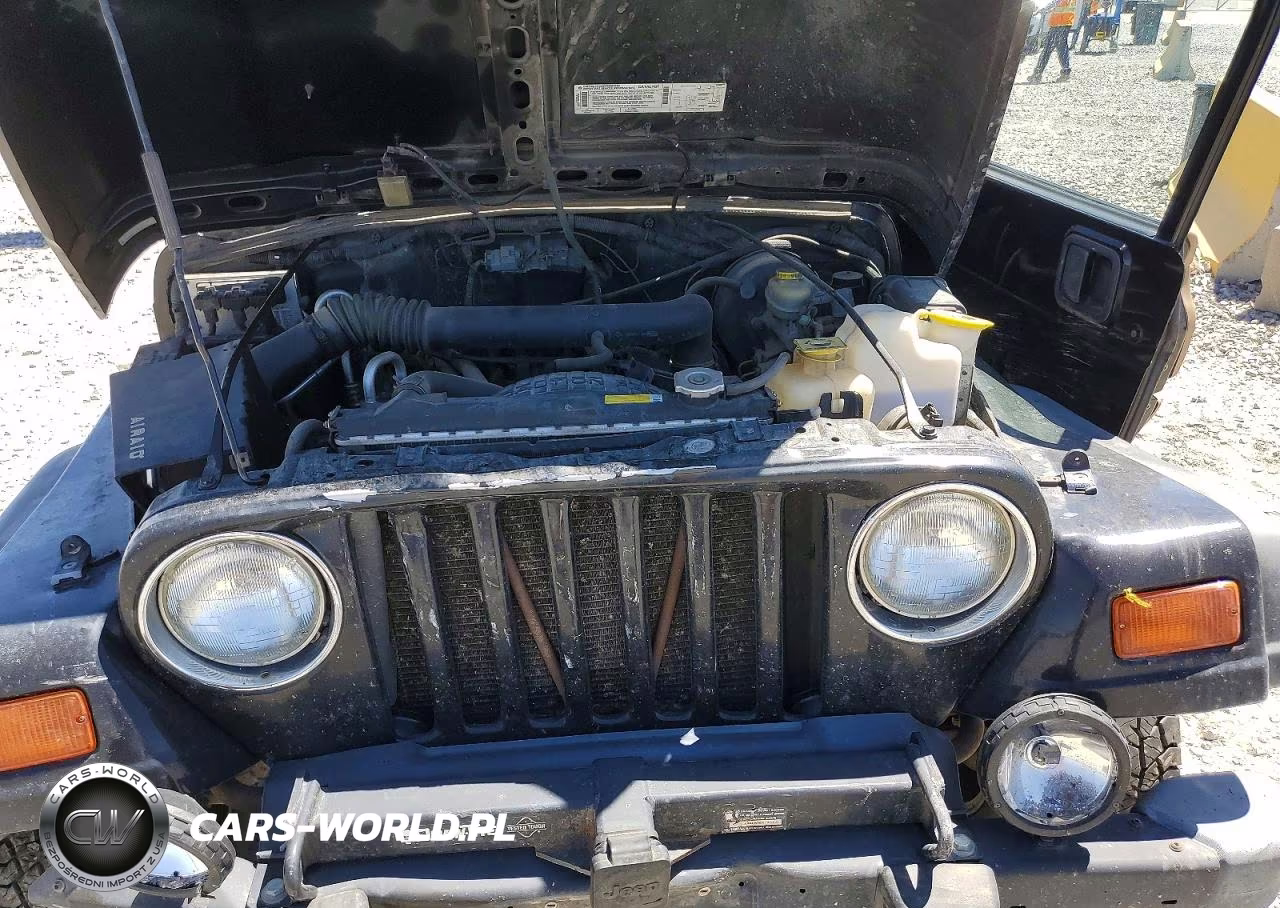 1999 Jeep Wrangler Se VIN:1J4FY19S9XP460945 - 11