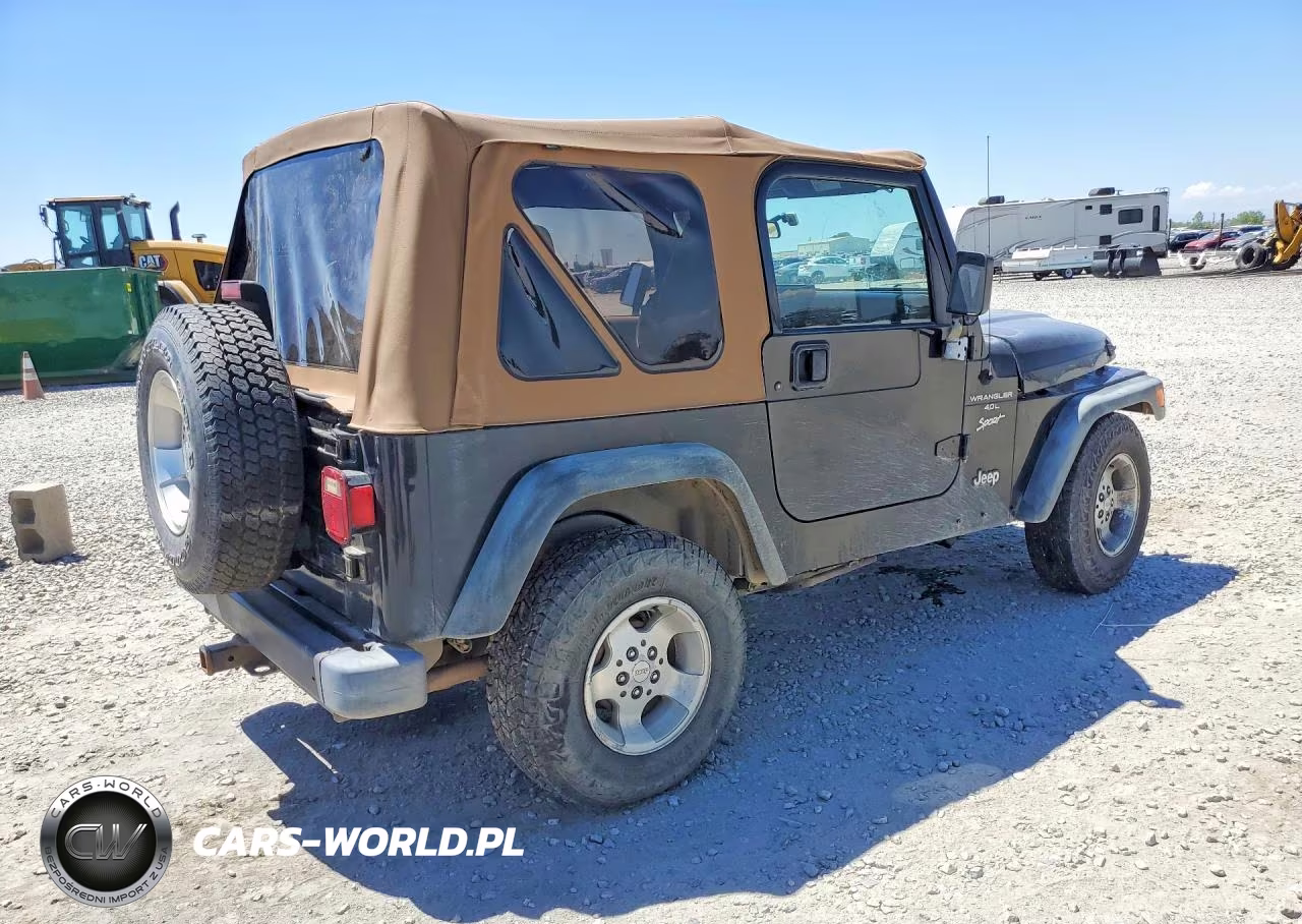 1999 Jeep Wrangler Se VIN:1J4FY19S9XP460945 - 3