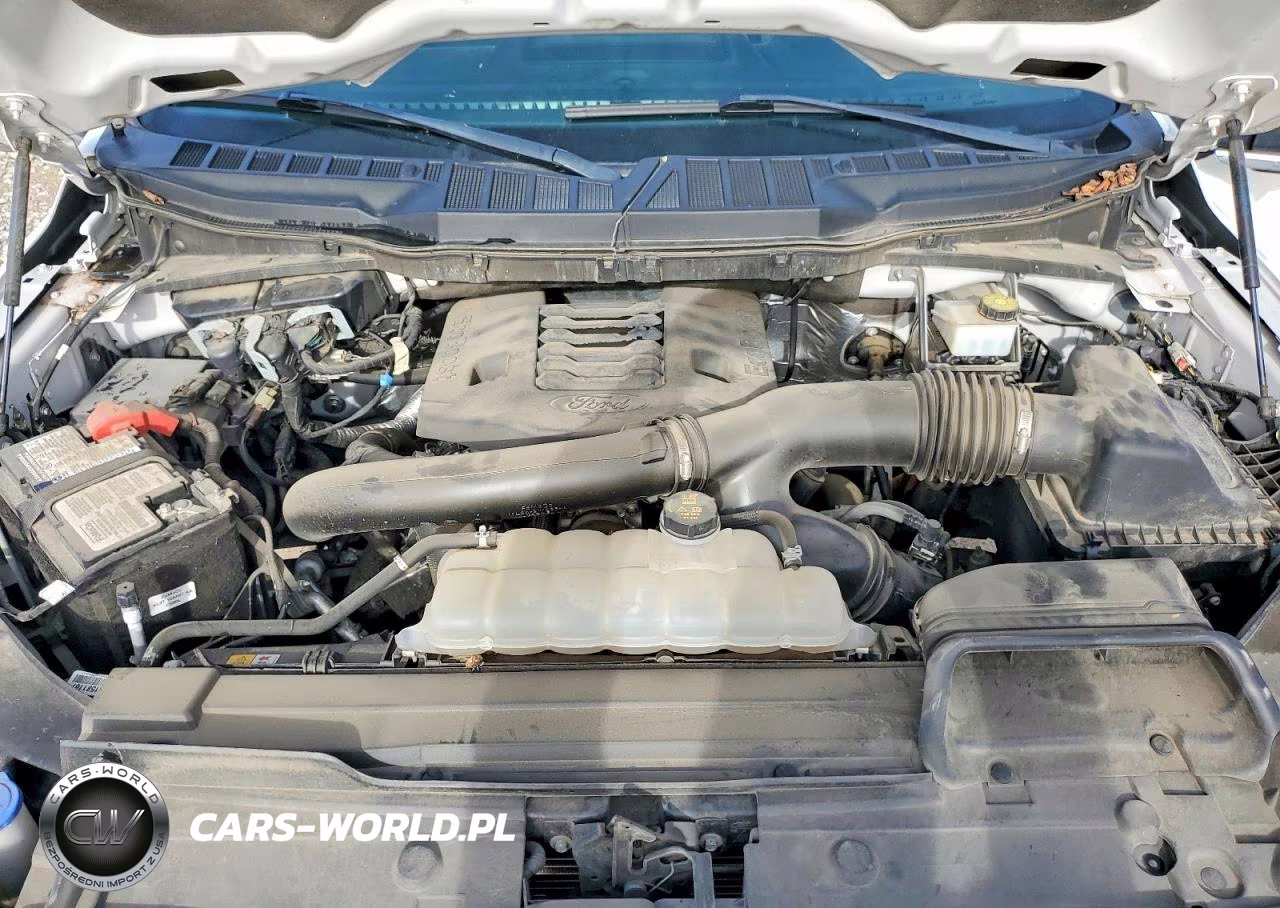 2023 Ford F150 Supercrew VIN:1FTFW1E80PFC00364 - 11