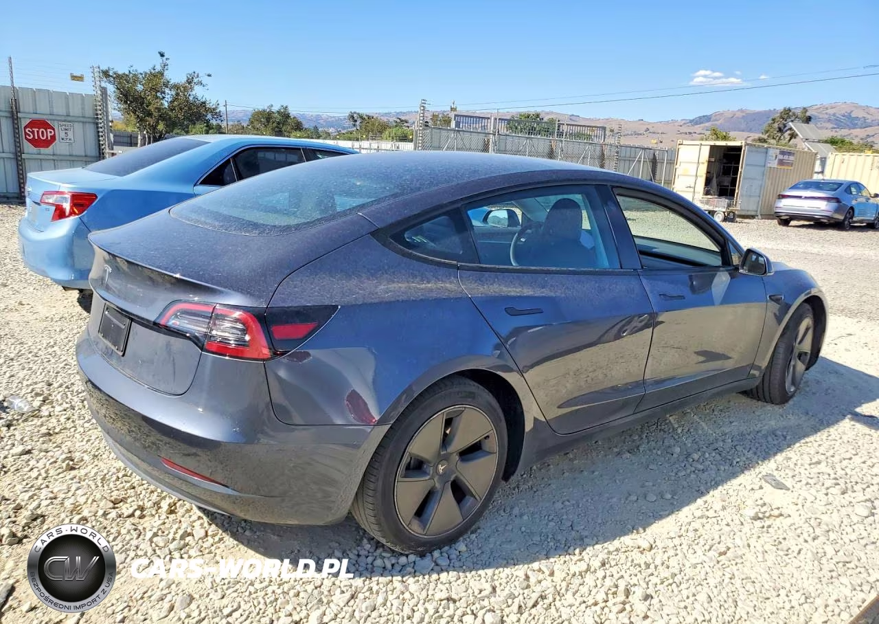2023 Tesla Model 3 VIN:5YJ3E1EA2PF584161 - 3