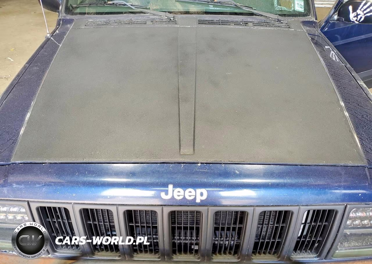 2001 Jeep Cherokee Sport VIN:1J4FF48S41L559163 - 12